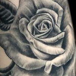 Tattoos - Roses  - 133114
